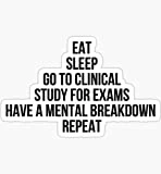 Decals Nursing Student - Sticker Graphic - Auto, Wall, Laptop, Cell, Truck Sticker for Windows, Cars, Trucks