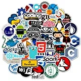 Programmer's Software Programming Sticker 50Pcs Waterproof, Removable,Cute,Beautiful,Stylish Teen Stickers, Suitable for Boys and Girls in Water Bottles, laptops, Phones, Suitcase Durable Vinyl